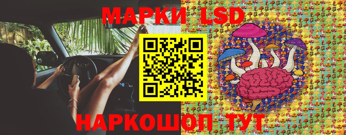 Железногорск  Марки N-bome 1500мкг  где купить наркоту  Вход с VPN 
